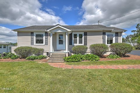 Photo of 409 Shelby Lane, Bristol, TN 37620 (MLS # 9995419)