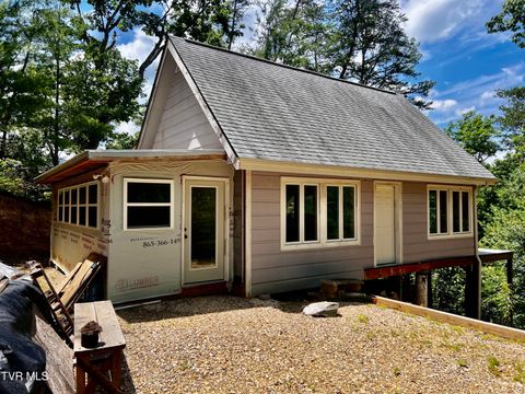 Vacant Land For Sale - 1272 Peach Orchard Way<br/> Cocke County, Del Rio, TN 37727