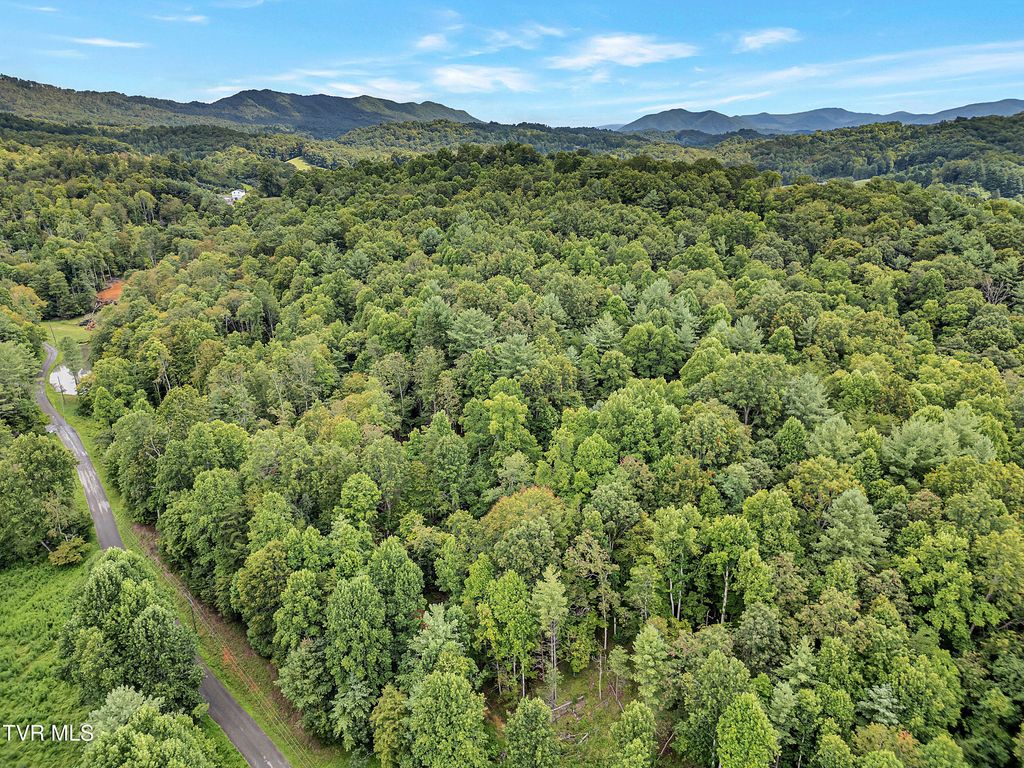 Photo of Tbd Holly Hill Drive, Unicoi, TN 37692 (MLS # 9993040)