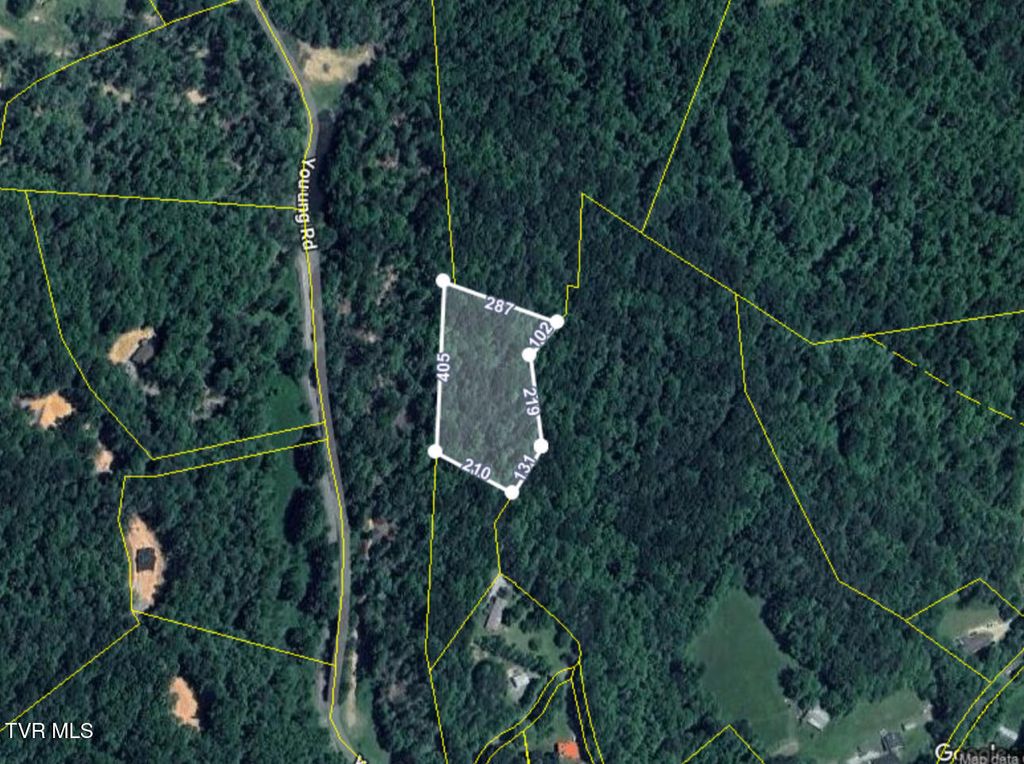 Photo of Tbd Holly Hill Drive, Unicoi, TN 37692 (MLS # 9993040)