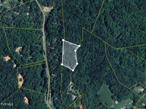 Vacant Land For Sale - TBD Holly Hill Drive<br/> Unicoi County, Unicoi, TN 37692