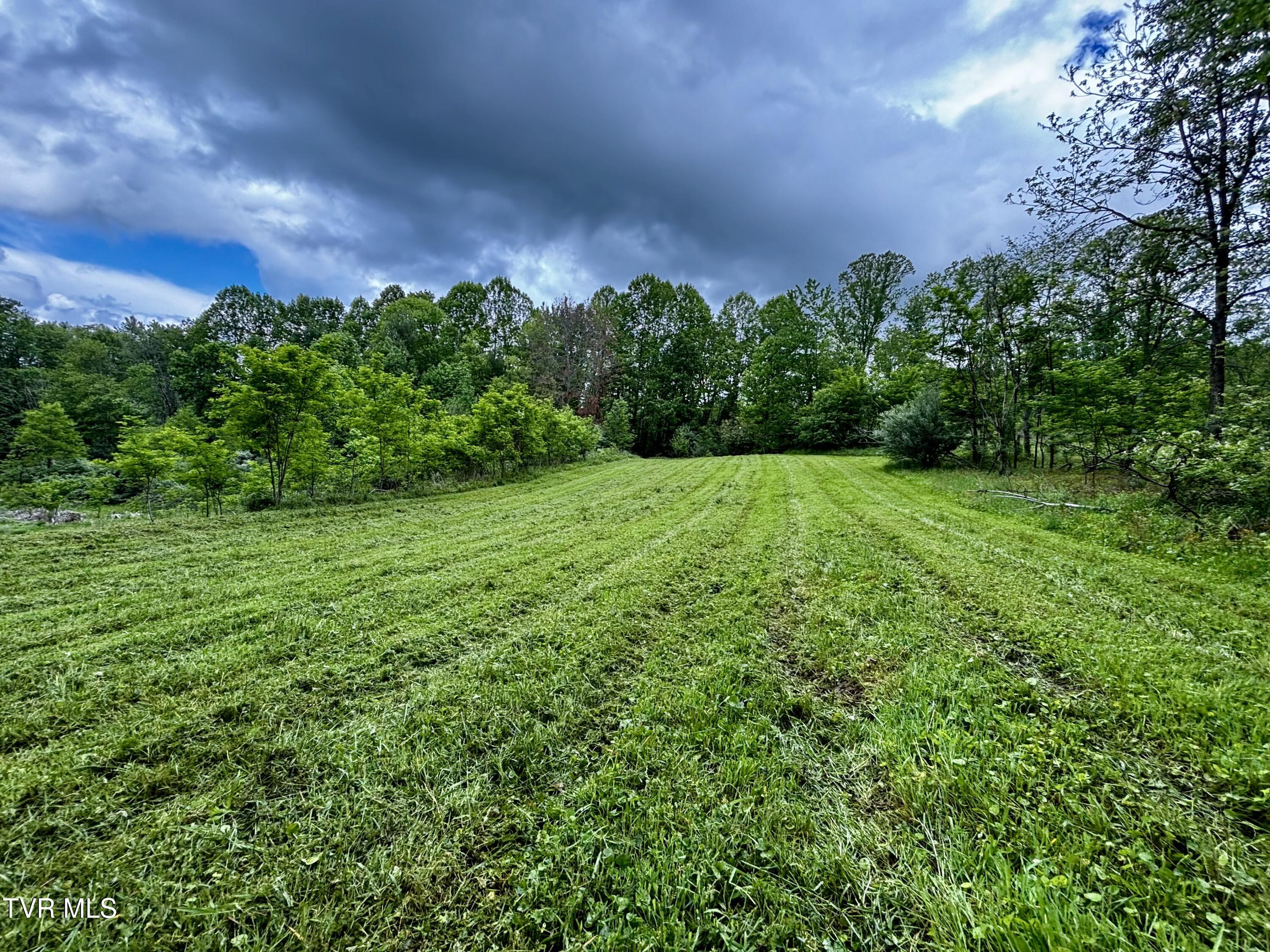 808 Waddell Road, Mountain City, Tennessee image 4