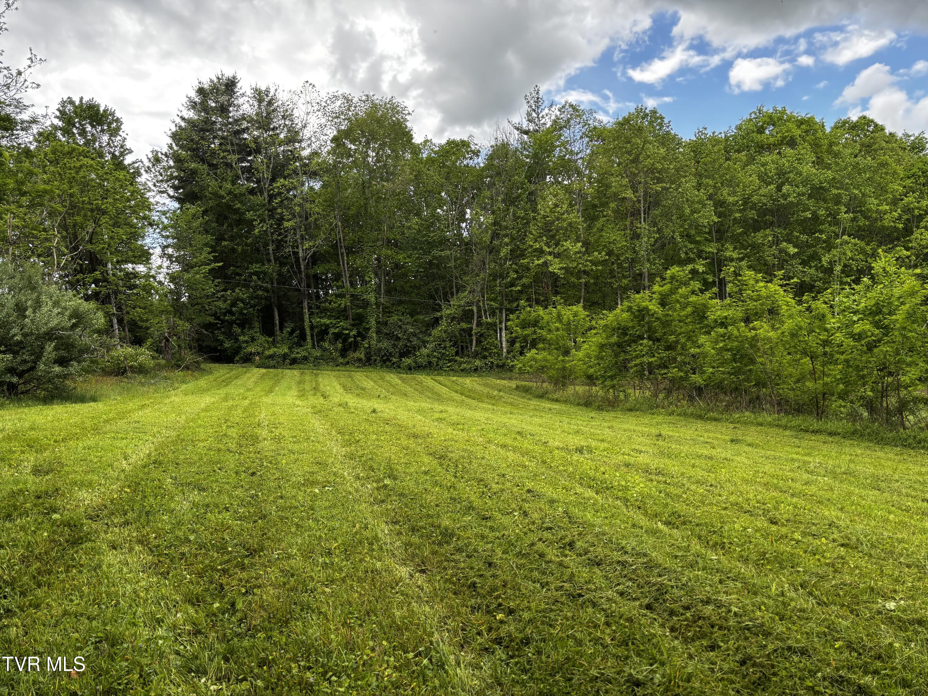 808 Waddell Road, Mountain City, Tennessee image 5