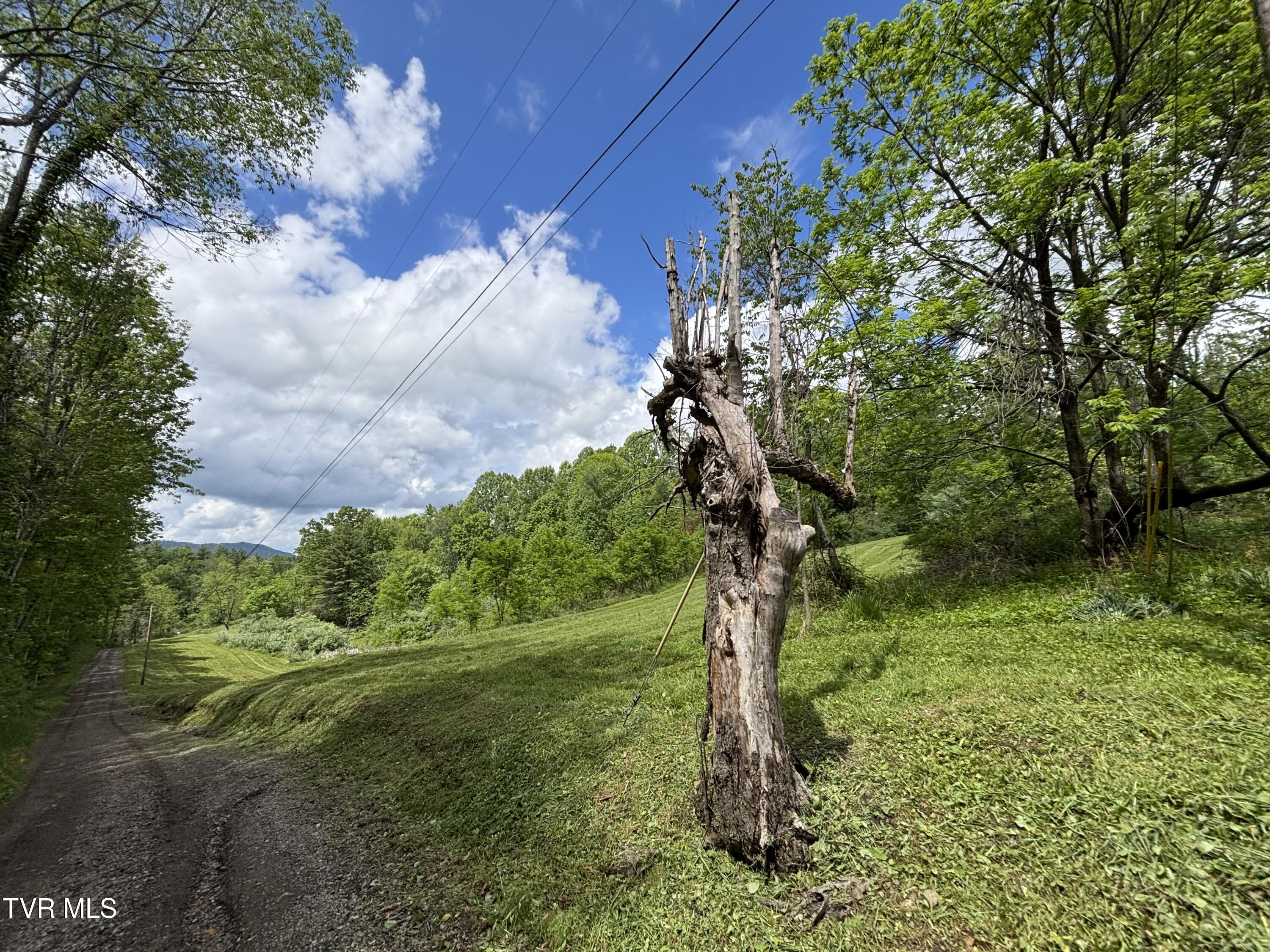 808 Waddell Road, Mountain City, Tennessee image 8