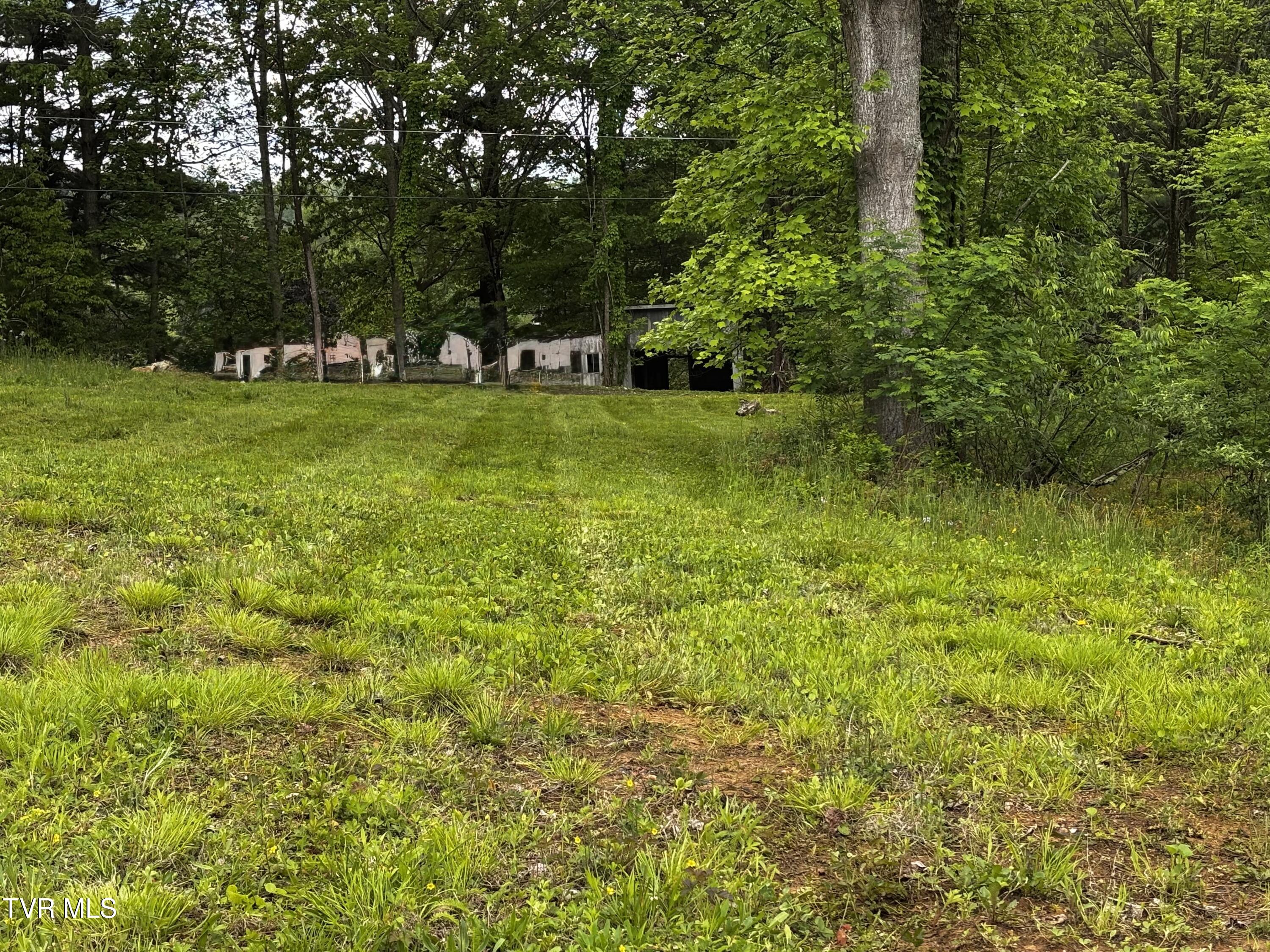 808 Waddell Road, Mountain City, Tennessee image 11