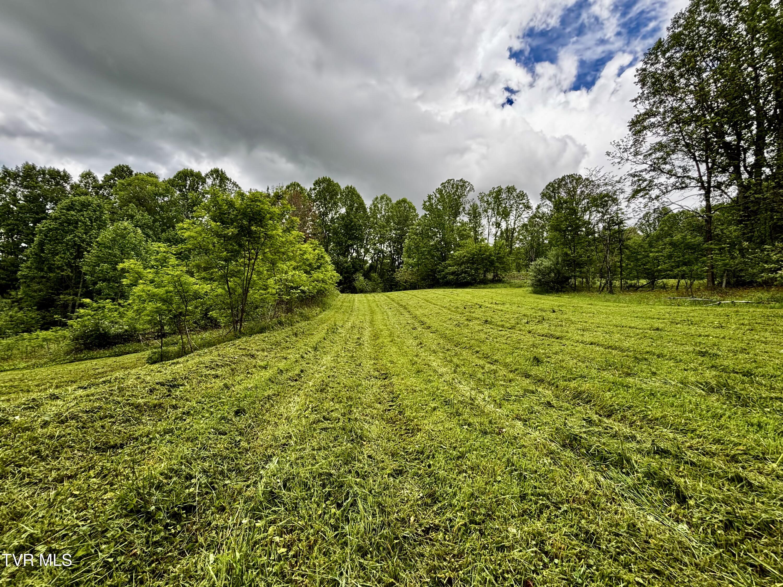 808 Waddell Road, Mountain City, Tennessee image 3