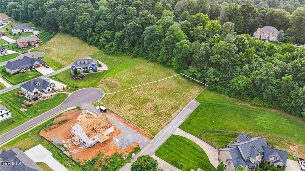 Photo of 53 Morning Glory Terrace, Johnson City, TN 37615 (MLS # 9985377)