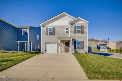 Photo of 701 Newtons Way, Kingsport, TN 37663 (MLS # 9988247)
