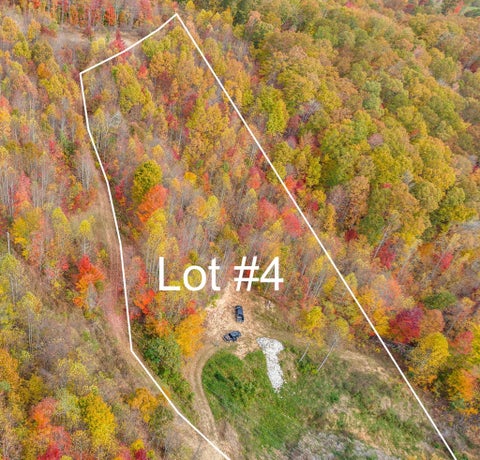 Vacant Land For Sale - TBD Parmont  Lot 4 Drive<br/> Duffield, VA 24244