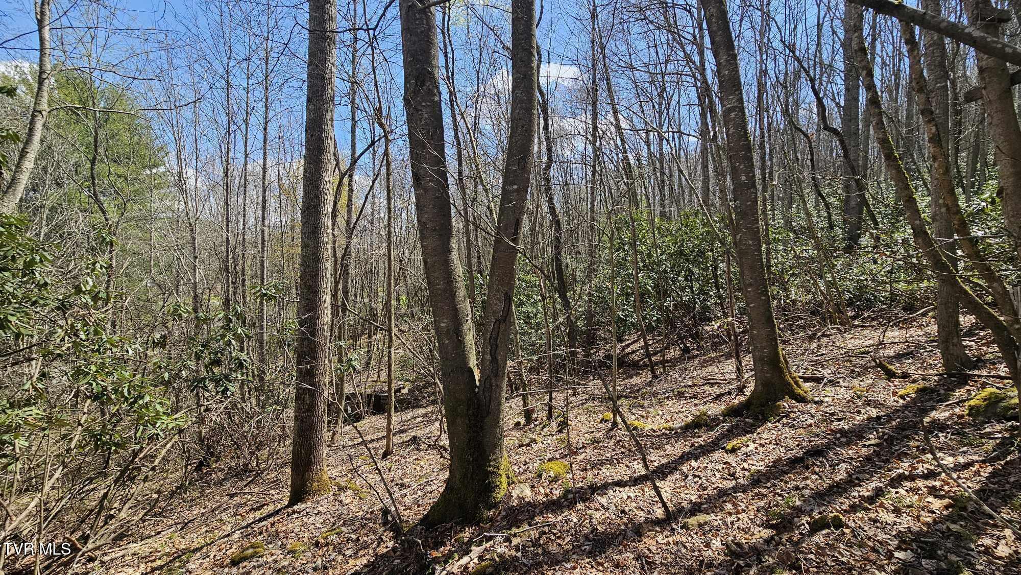 4183 Stone Mountain Road, Coeburn, Virginia image 11