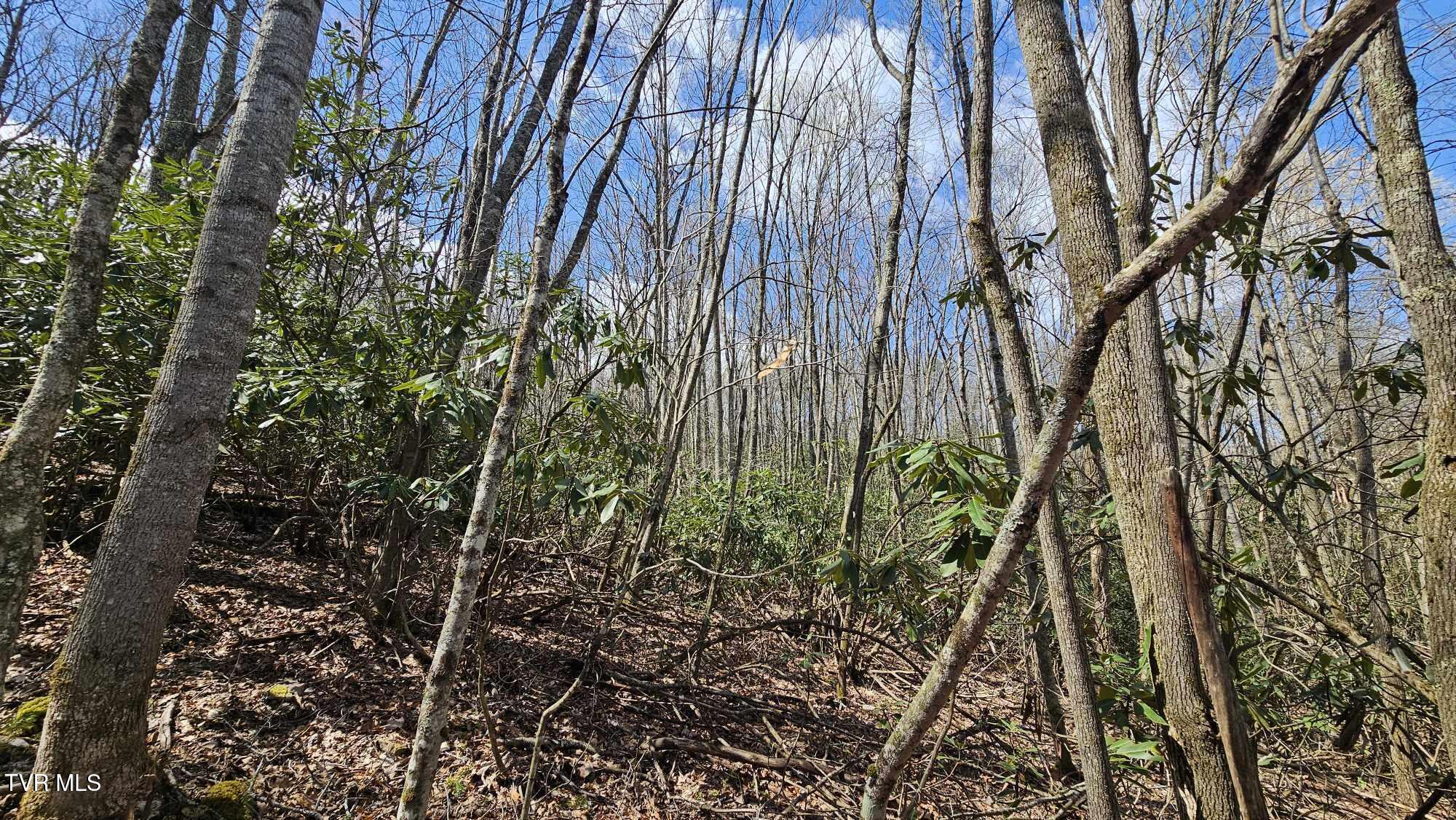 4183 Stone Mountain Road, Coeburn, Virginia image 10
