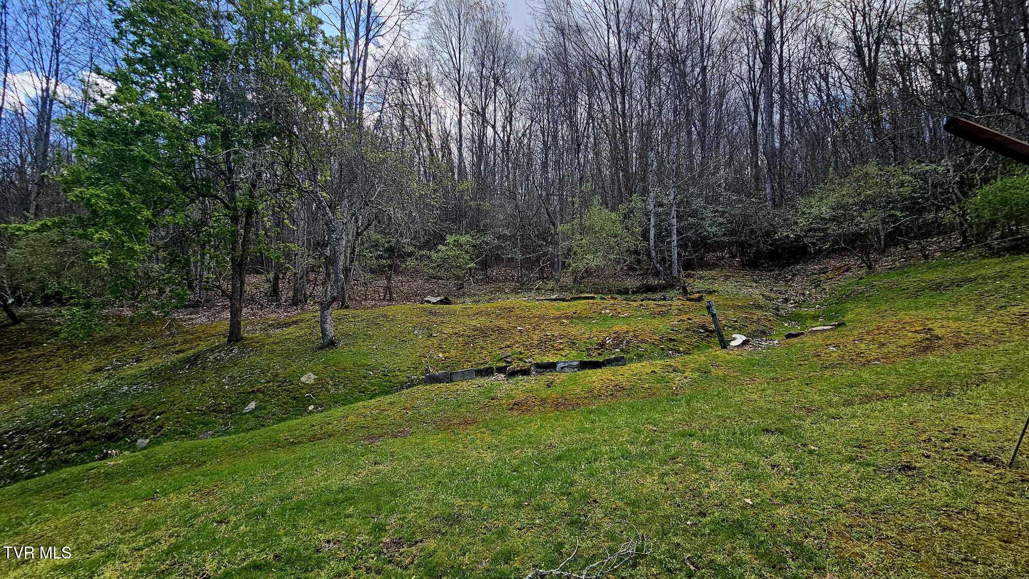 4183 Stone Mountain Road, Coeburn, Virginia image 5