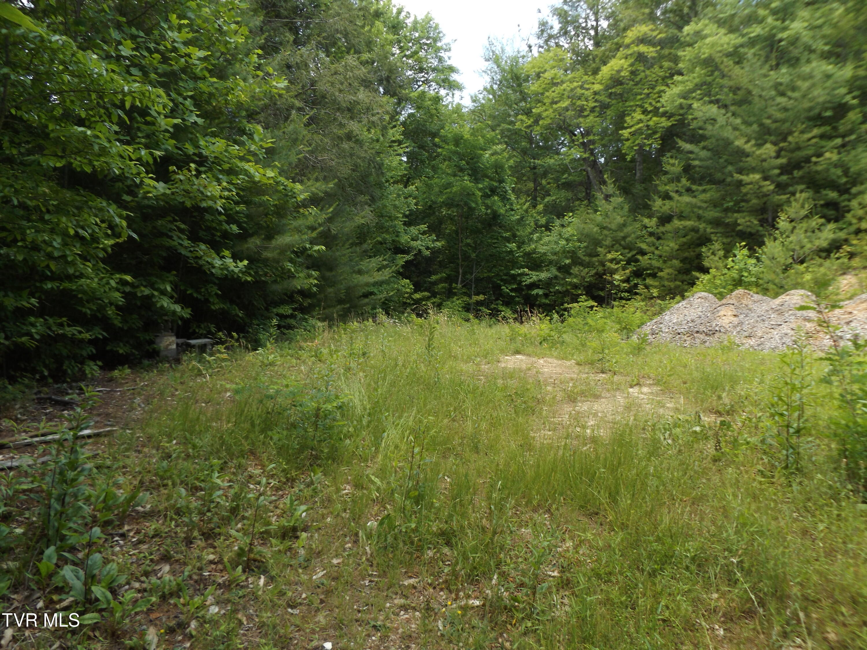 Photo 1 of 14 — 701 Heartwood Lane Lot 2, Butler, TN 37640