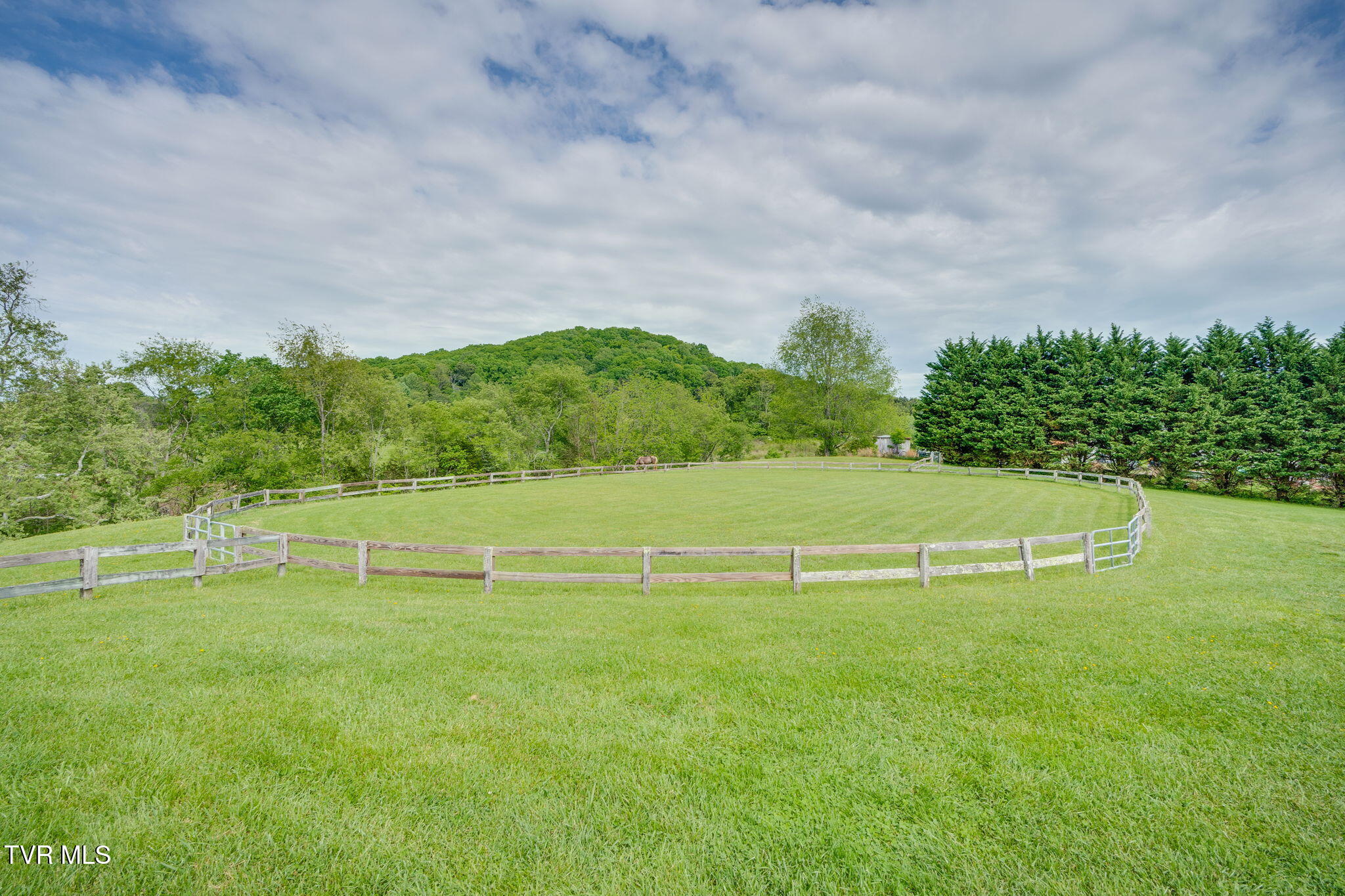 Tbd Mill Creek Road, Fall Branch, Tennessee image 7