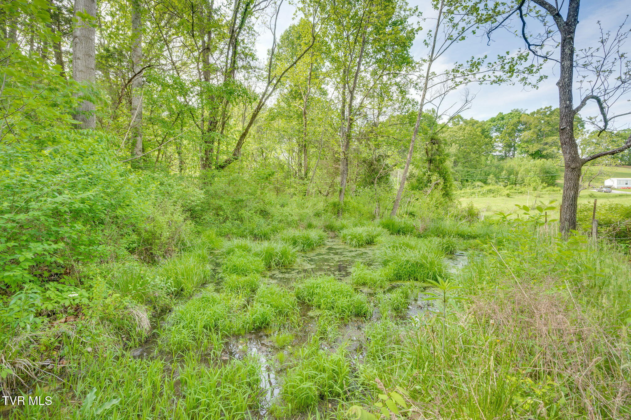 Tbd Mill Creek Road, Fall Branch, Tennessee image 9