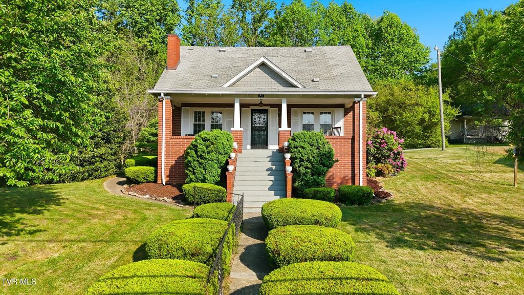 Photo of 251 Charleston Street, Weber City, VA 24290 (MLS # 9994478)