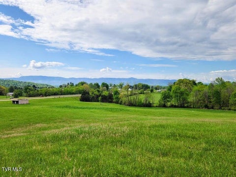 Vacant Land For Sale - 6795 Andrew Johnson Highway<br/> Greene County, Chuckey, TN 37641