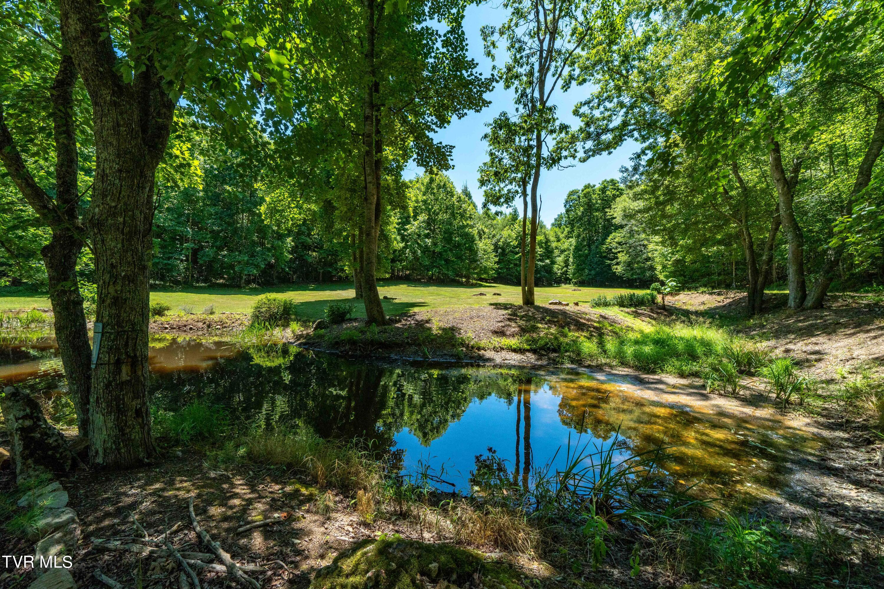 542 Rainbow Road, Mountain City, Tennessee image 44