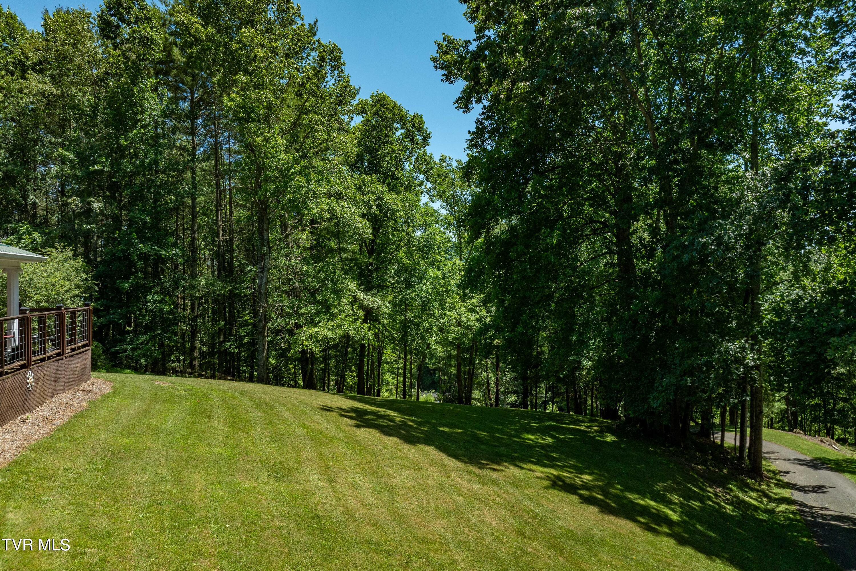 542 Rainbow Road, Mountain City, Tennessee image 6