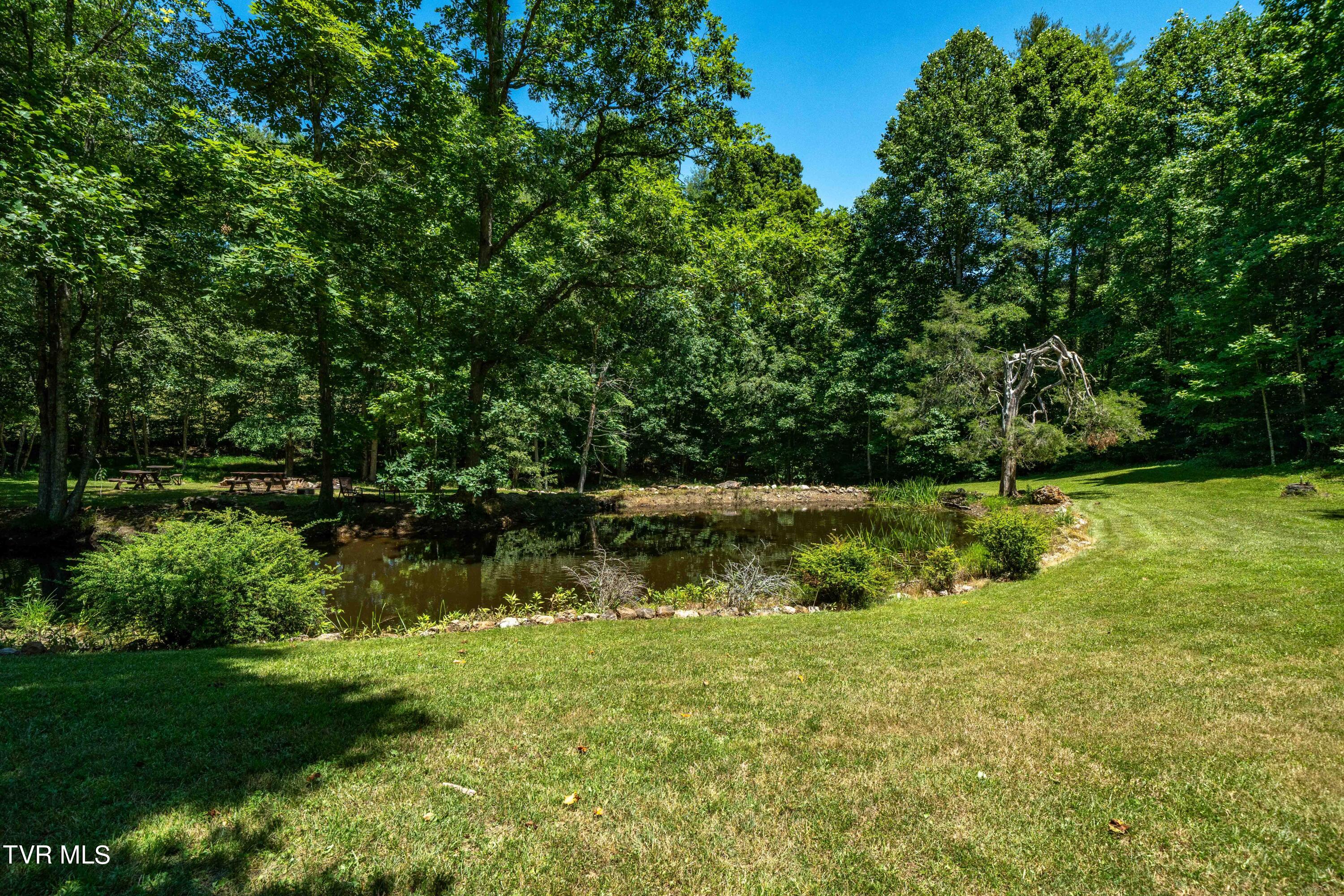 542 Rainbow Road, Mountain City, Tennessee image 38