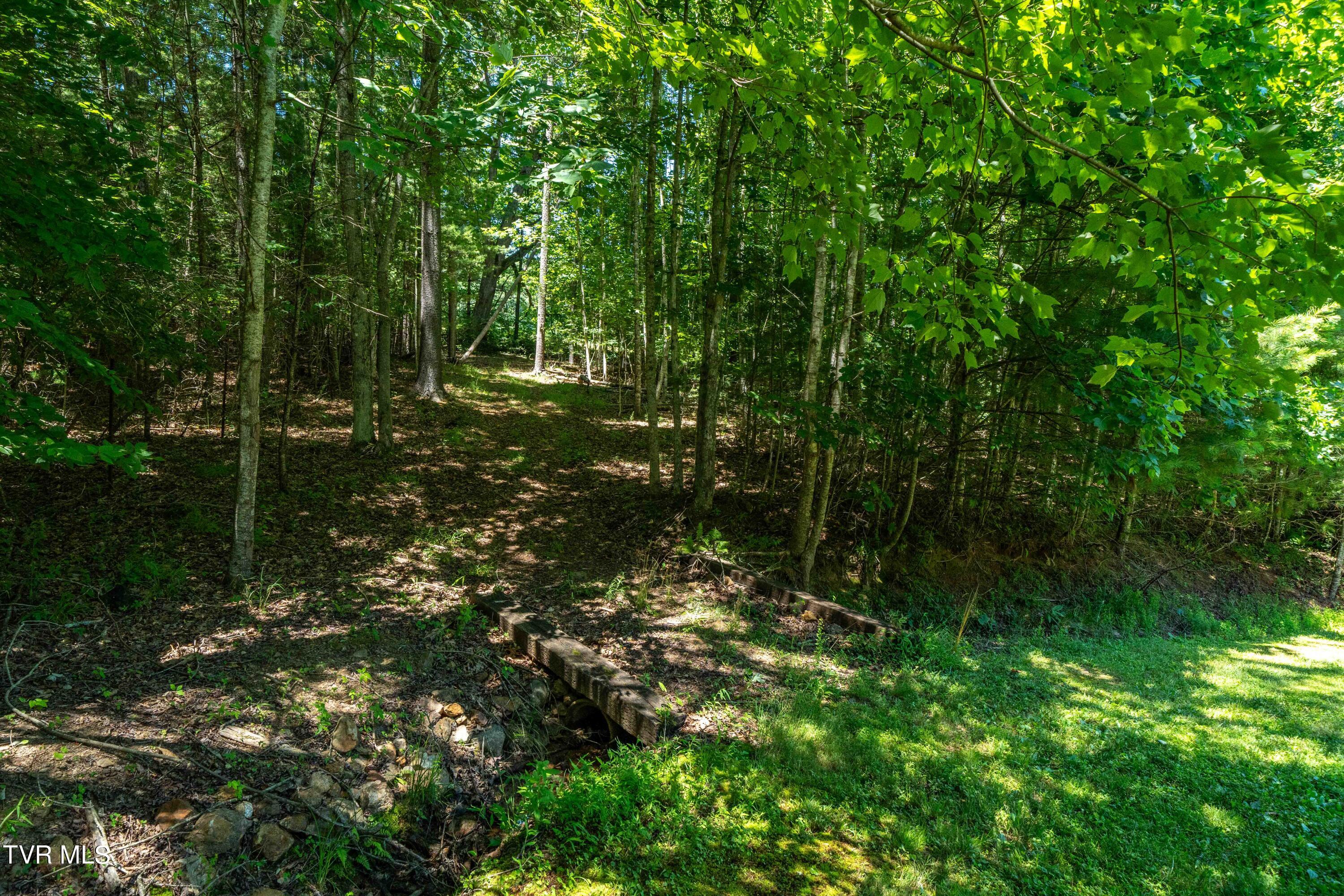 542 Rainbow Road, Mountain City, Tennessee image 32