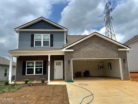 Homes For Sale - 268 Chimney View Loop<br/> Sullivan County County, Blountville, TN 37617