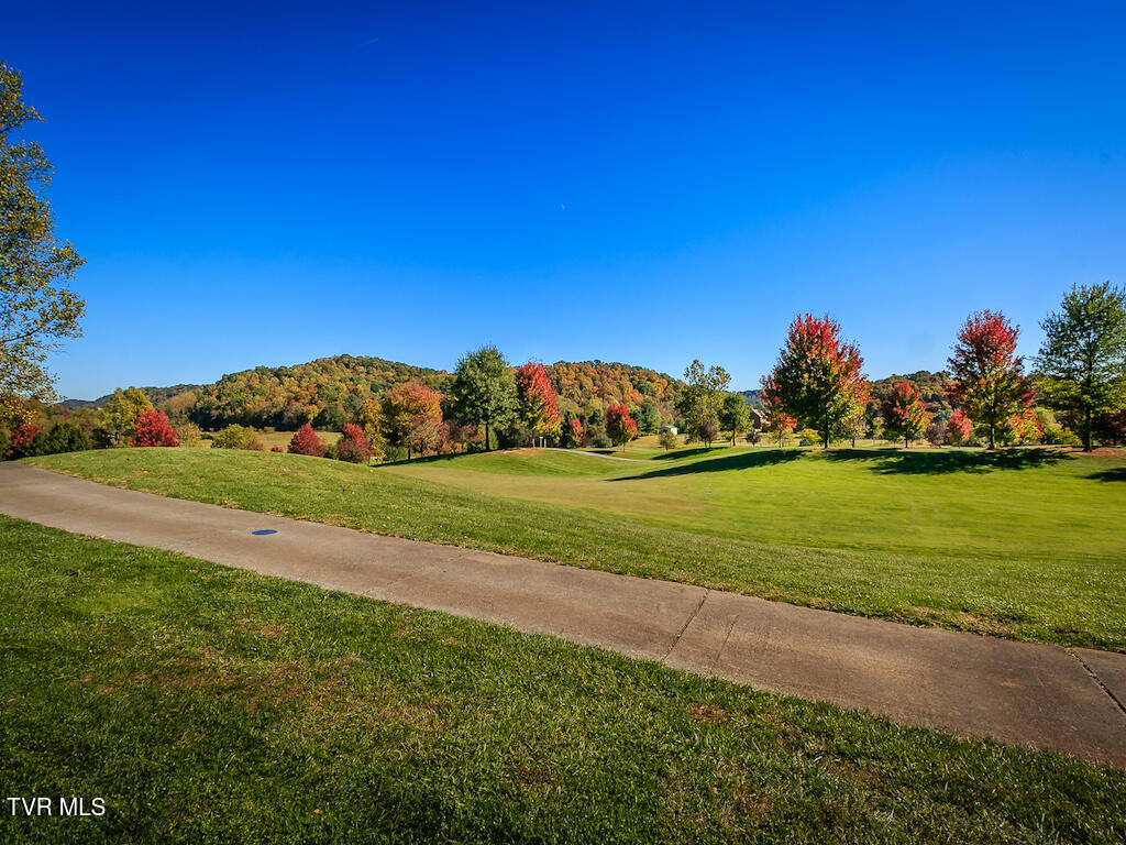 1226 Ridgetop Trail, Kingsport, Tennessee image 30