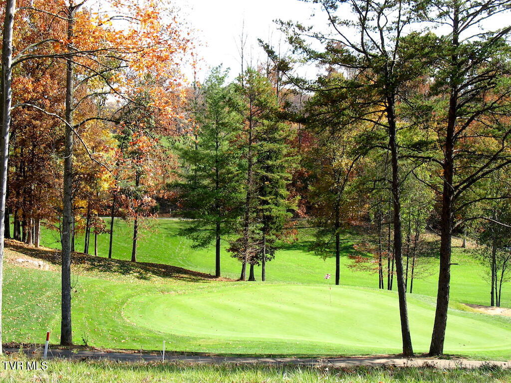 1226 Ridgetop Trail, Kingsport, Tennessee image 23