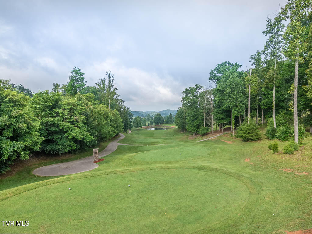 1226 Ridgetop Trail, Kingsport, Tennessee image 12