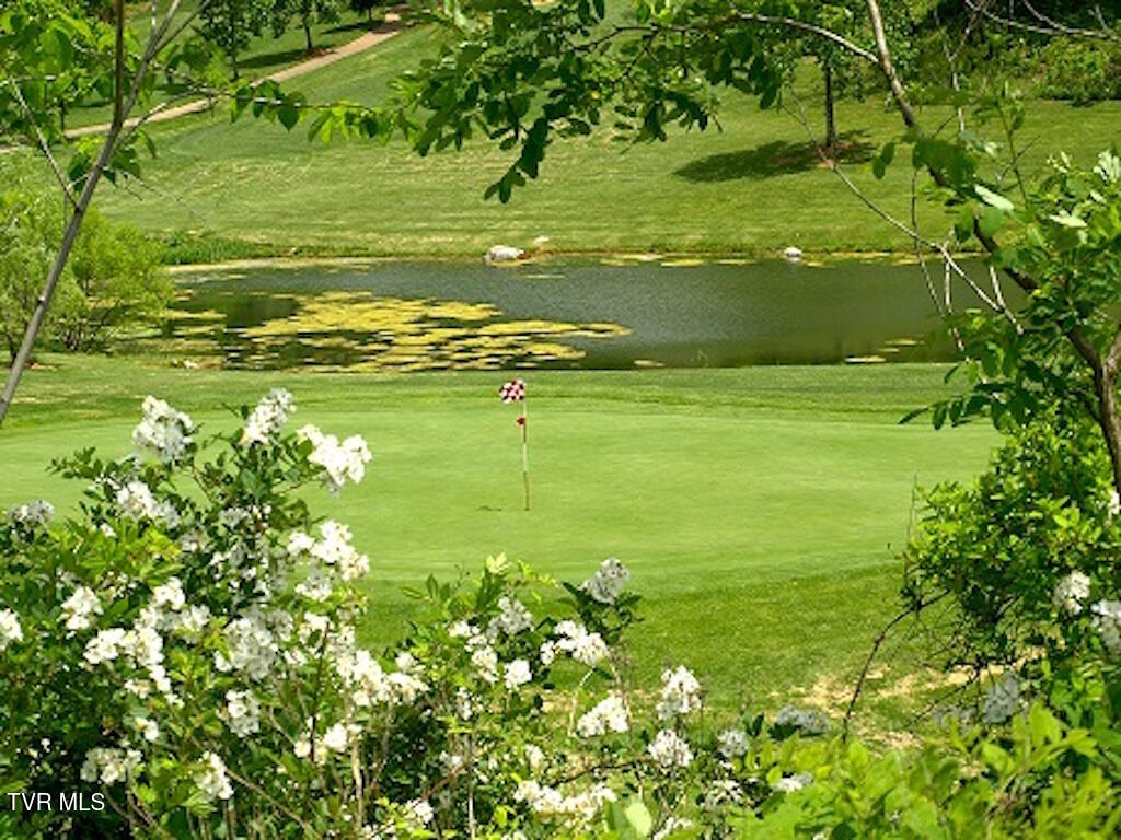 1226 Ridgetop Trail, Kingsport, Tennessee image 27