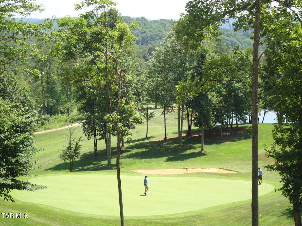 1226 Ridgetop Trail, Kingsport, Tennessee image 18