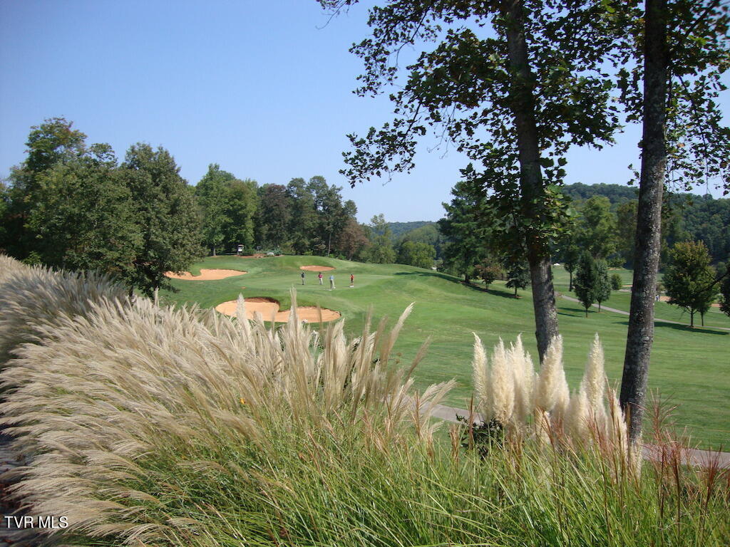 1226 Ridgetop Trail, Kingsport, Tennessee image 20