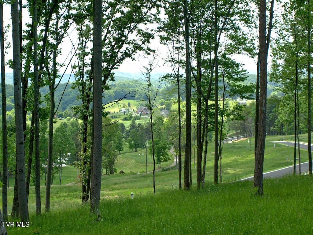 1226 Ridgetop Trail, Kingsport, Tennessee image 28