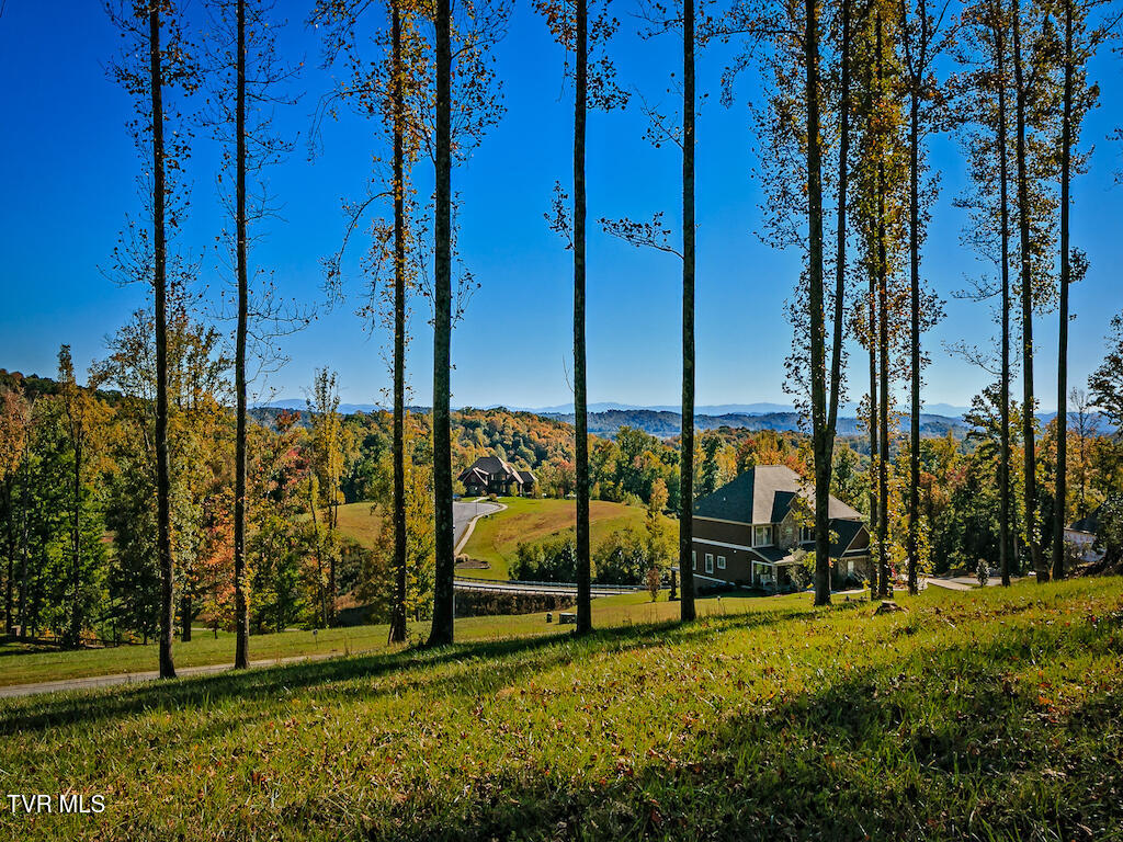 1226 Ridgetop Trail, Kingsport, Tennessee image 38