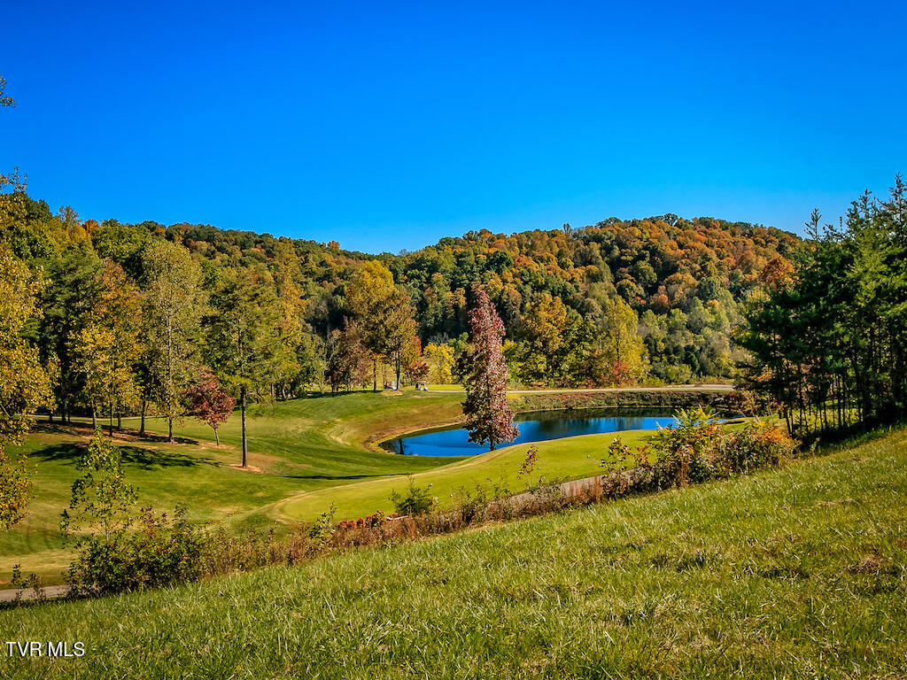 1226 Ridgetop Trail, Kingsport, Tennessee image 31