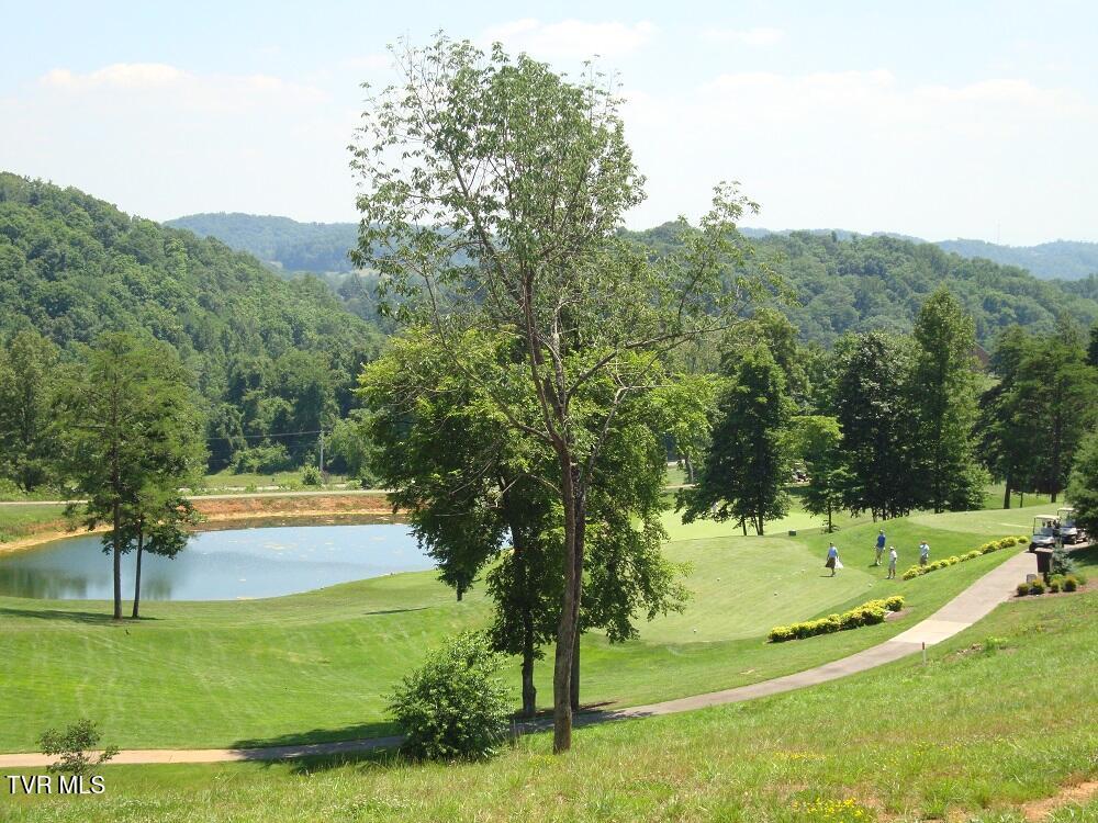 1226 Ridgetop Trail, Kingsport, Tennessee image 13