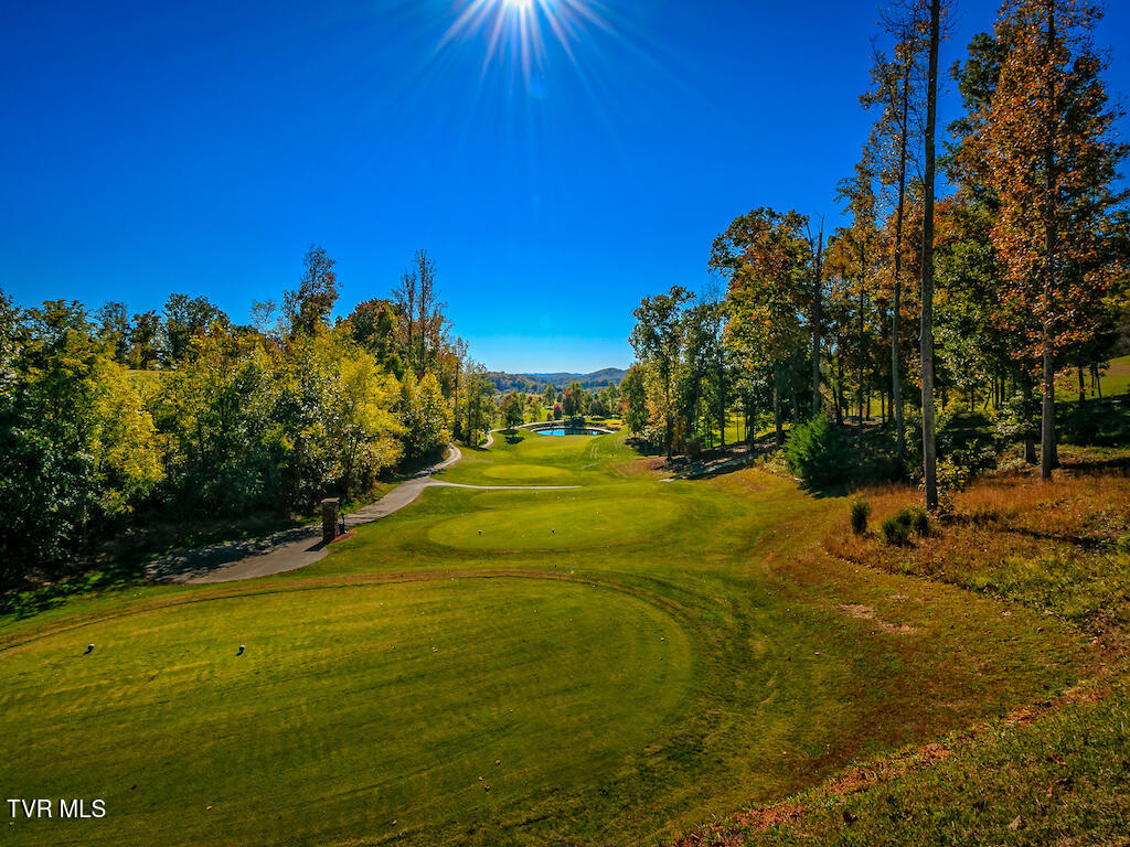 1226 Ridgetop Trail, Kingsport, Tennessee image 17