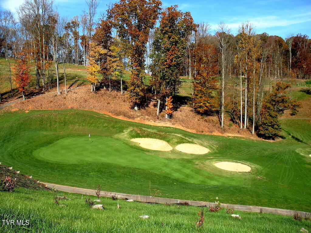 1226 Ridgetop Trail, Kingsport, Tennessee image 25