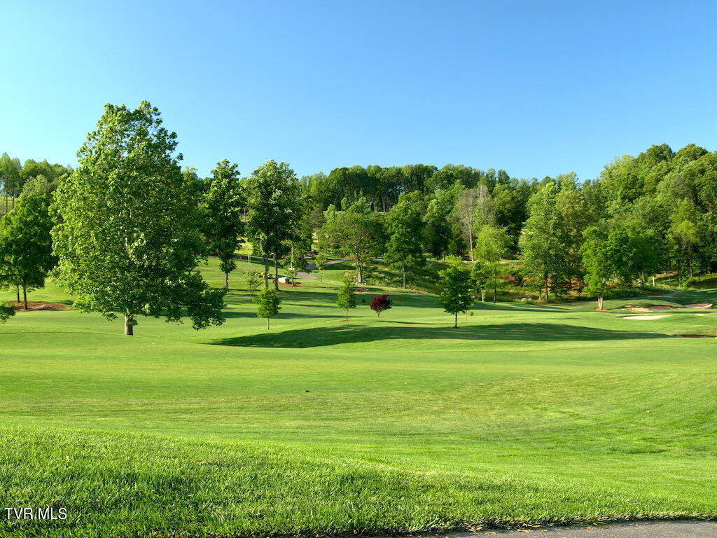 1226 Ridgetop Trail, Kingsport, Tennessee image 14