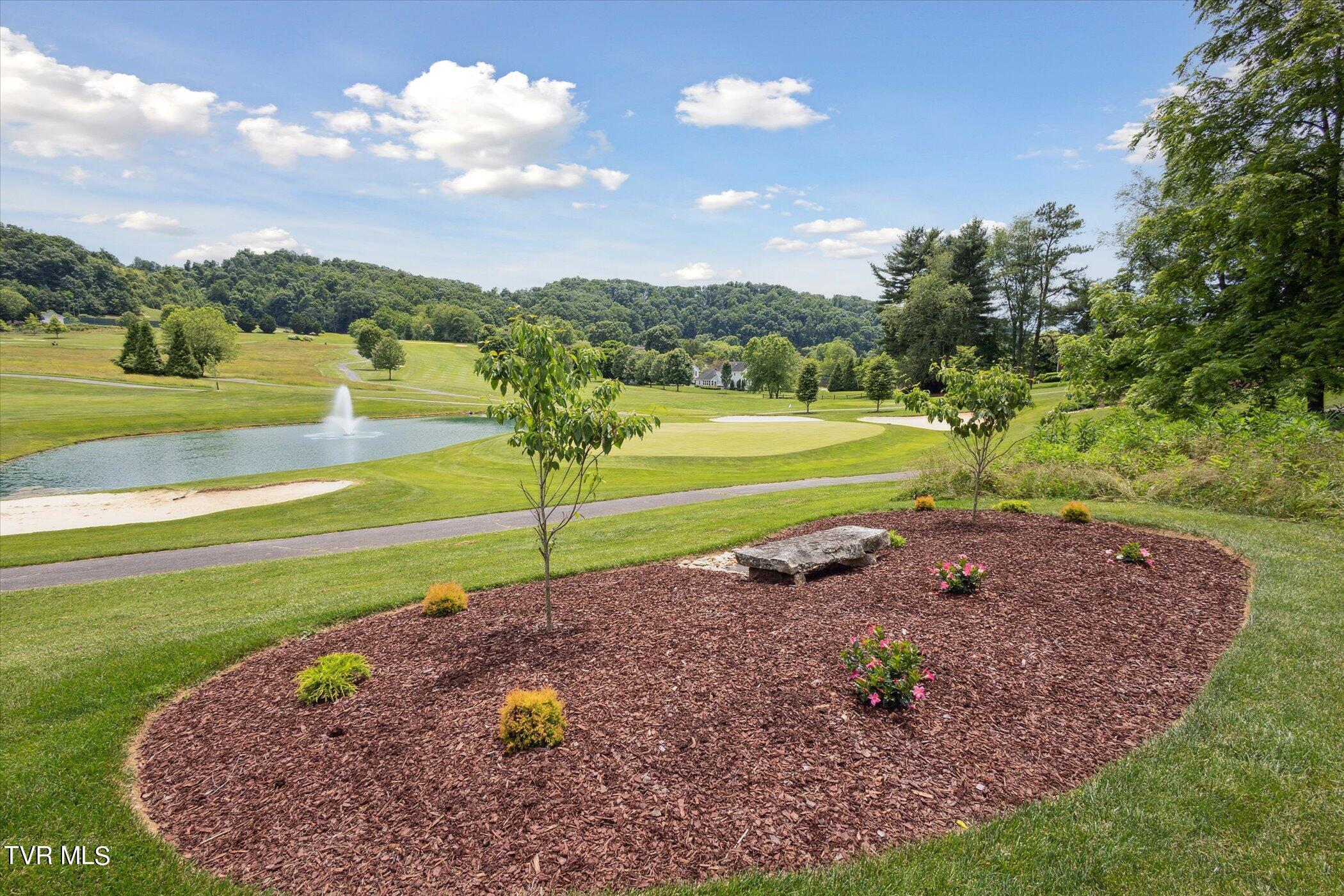 846 Glenview Drive, Abingdon, Virginia image 48
