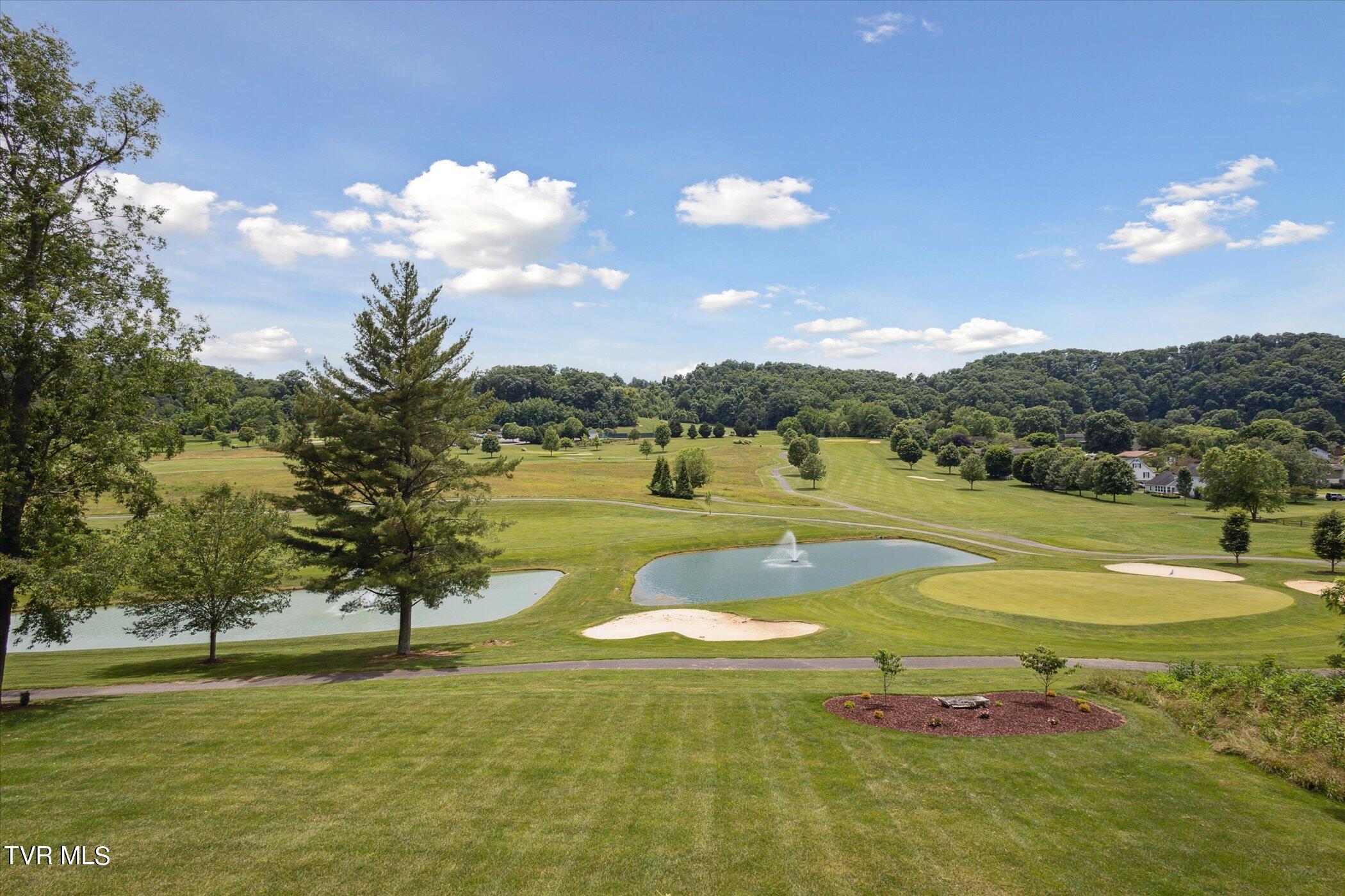 846 Glenview Drive, Abingdon, Virginia image 47