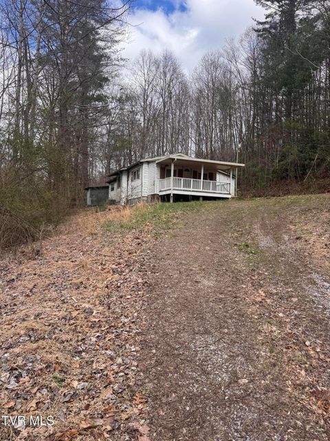Photo of 1096 Dry Creek Road, Elizabethton, TN 37643 (MLS # 9993125)
