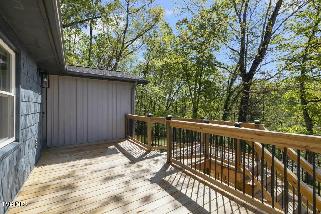 113 Constitution Avenue, Elizabethton, Tennessee image 34