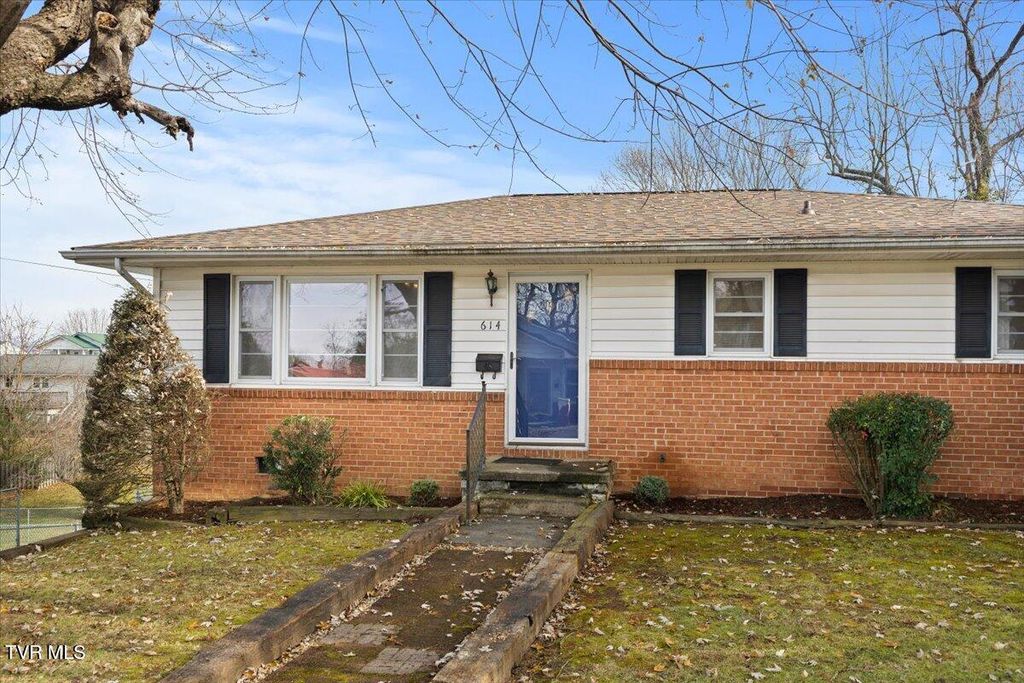 Photo of 614 Roan Street, Elizabethton, TN 37643 (MLS # 9988609)