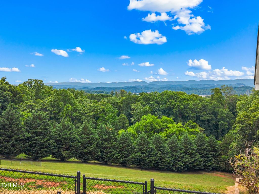 Photo of 5681 Browning Way, Russellville, TN 37860 (MLS # 9996033)
