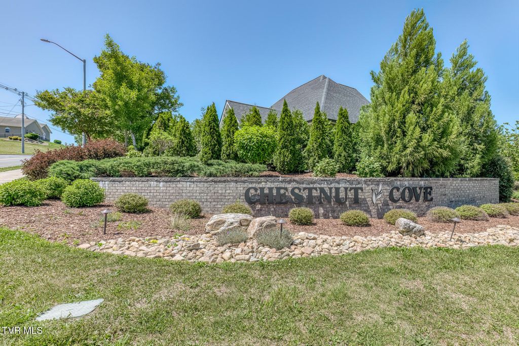 Photo of 199 Tanners Cove, Johnson City, TN 37615 (MLS # 9995294)
