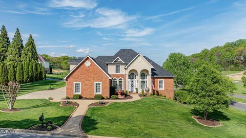 1 Honeysuckle Court Johnson City TN 37615