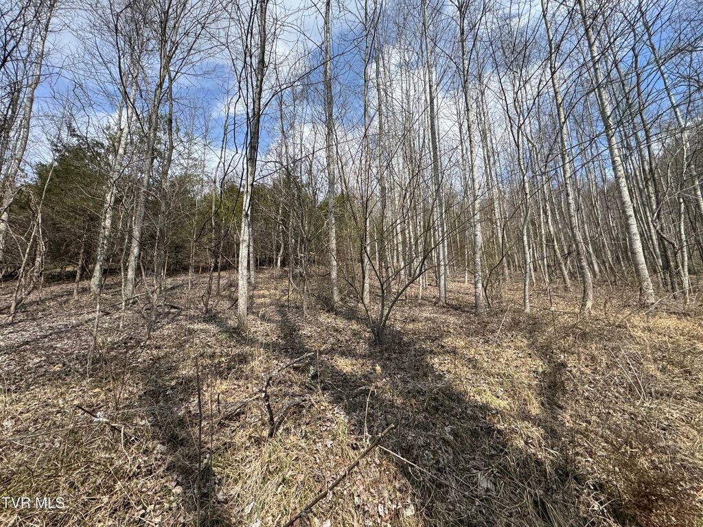 Photo of 6996 Manville Road, Gate City, VA 24251 (MLS # 9991942)