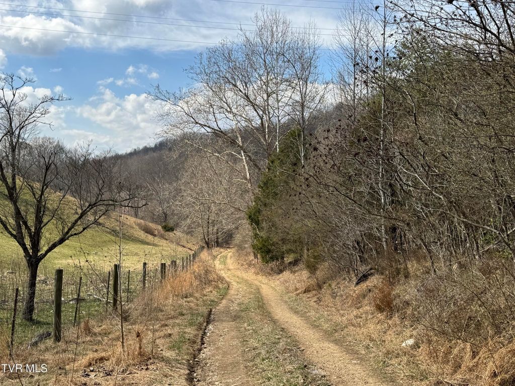 Photo of 6996 Manville Road, Gate City, VA 24251 (MLS # 9991942)