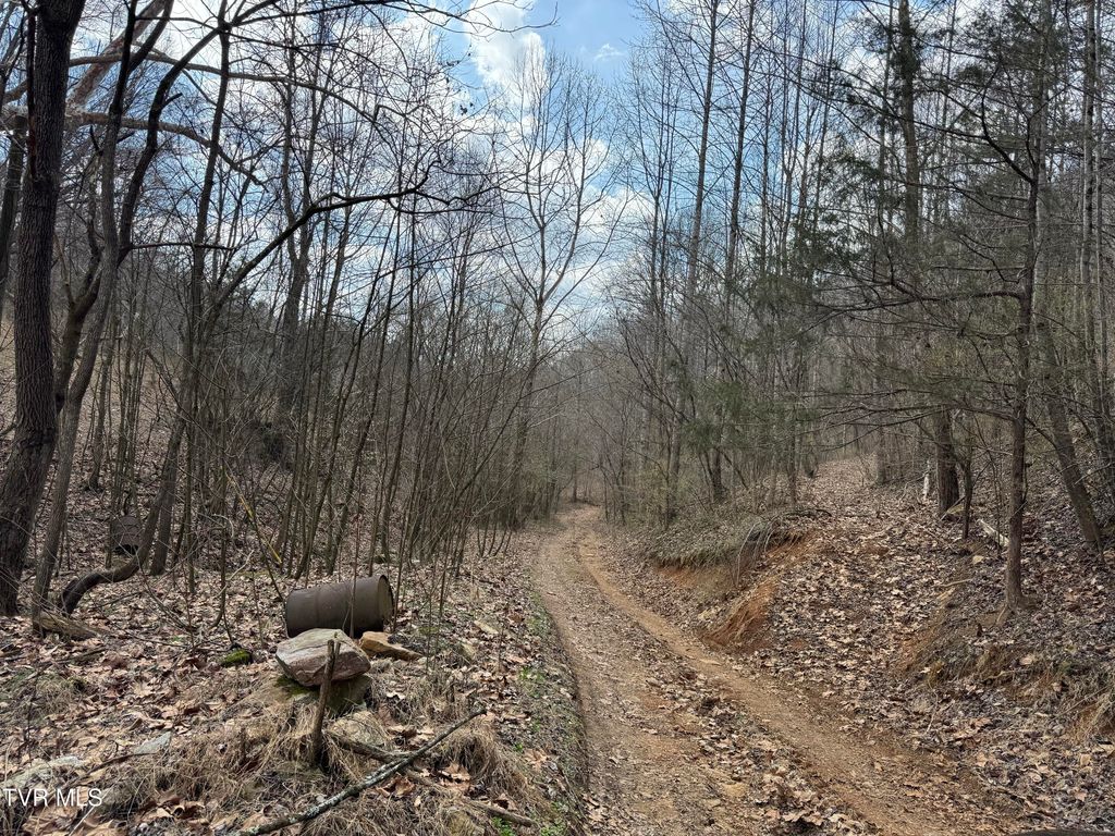 Photo of 6996 Manville Road, Gate City, VA 24251 (MLS # 9991942)